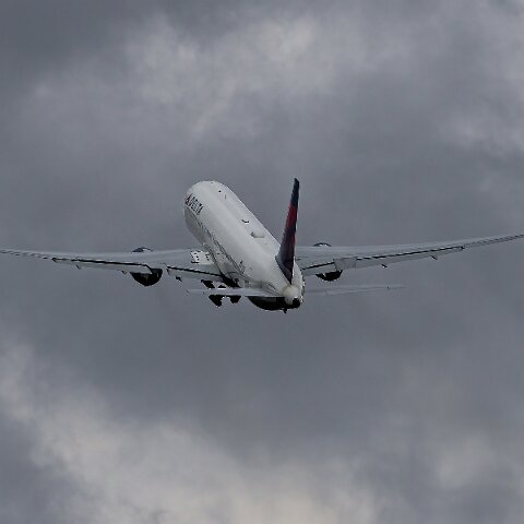 Delta-Airlines-N171DZ-2025-04-19-7