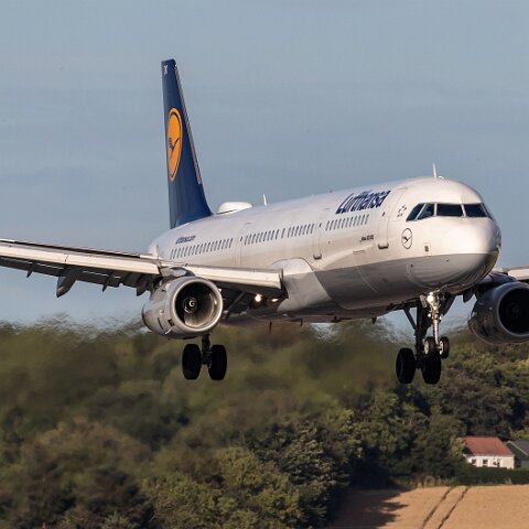 Lufthansa-D-AIDK-2018-08-16-1