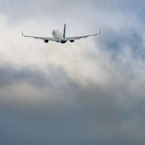 United-Airlines-N21108-2026-01-26-8