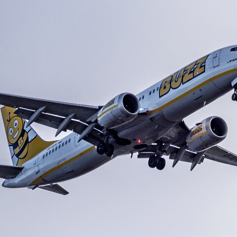 Buzz-SP-RZA-2023-03-06-1