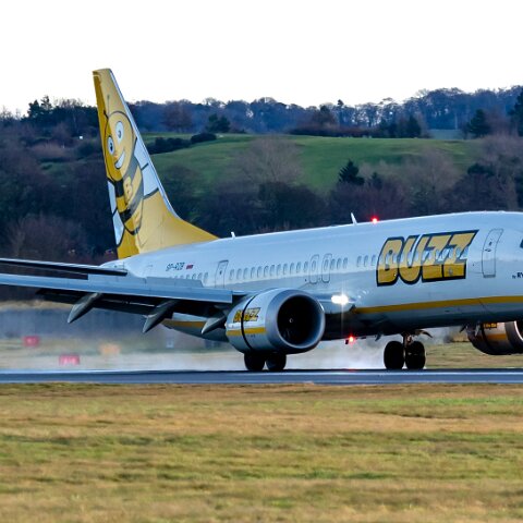 Buzz-SP-RZB-2022-12-26-2