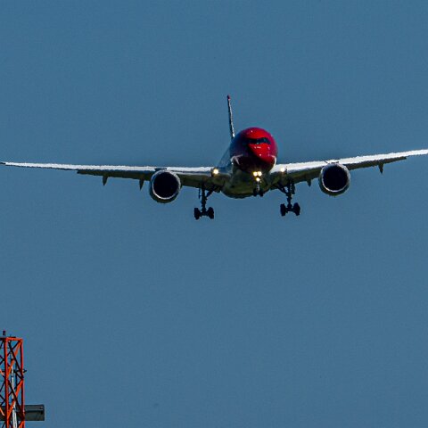 Edelweiss-HB-IHC-2026-07-08-1
