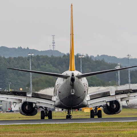 Pegasus-Airlines-TC-CPE-2026-08-03-4