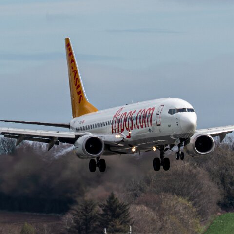 Pegasus-TC-CPE-2026-04-01-1