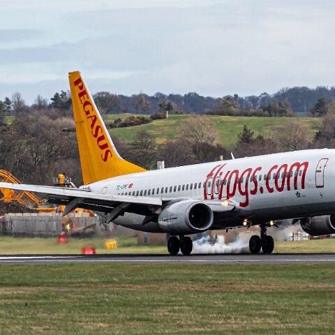 Pegasus-TC-CPE-2026-04-01-2