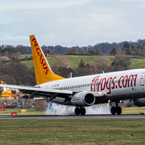 Pegasus-TC-CPE-2026-04-01-3