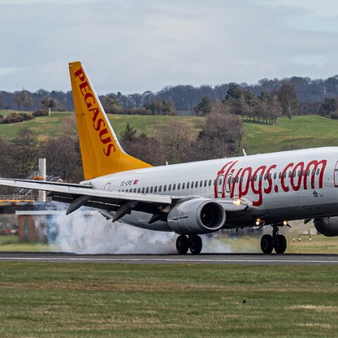 Pegasus-TC-CPE-2026-04-01-4