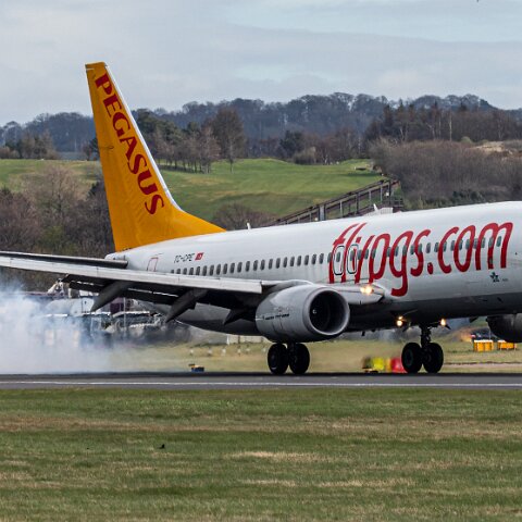 Pegasus-TC-CPE-2026-04-01-5