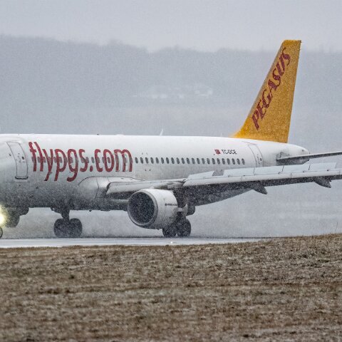 Pegasus-TC-DCE-2026-01-09-1