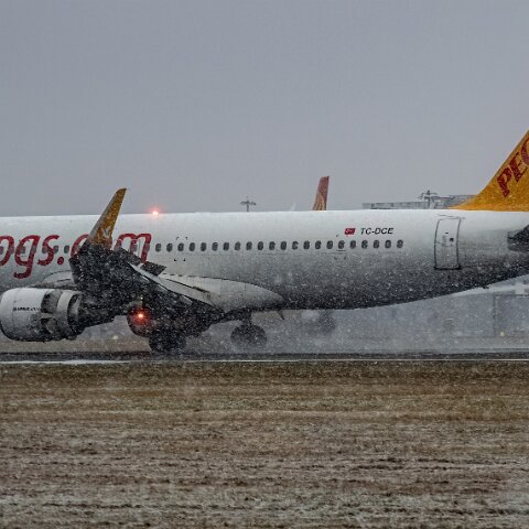 Pegasus-TC-DCE-2026-01-09-6