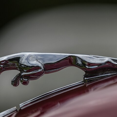 Hill-Climb-Boness-2017-16