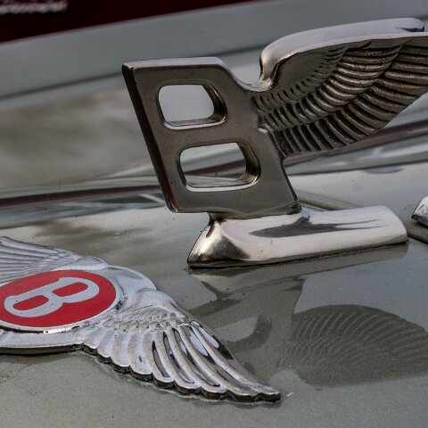 BonessSteam-Gala-2024-17