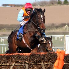 2004 - 2011 Kelso Racecourse Kelso Racecourse is a thoroughbred horse racing venue located in Kelso, Scotland. The official website describes the...