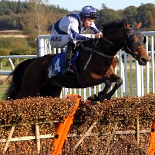 2012 - 2013 Kelso Racecourse is a thoroughbred horse racing venue located in Kelso, Scotland. The official website describes the...