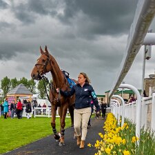 2023-05-10 Photographs taken using a Sony RX100 M2 compact camera.
