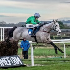 2023-12-29 Photos taken on a very dull day using a Sony RX100 MII compact camera.