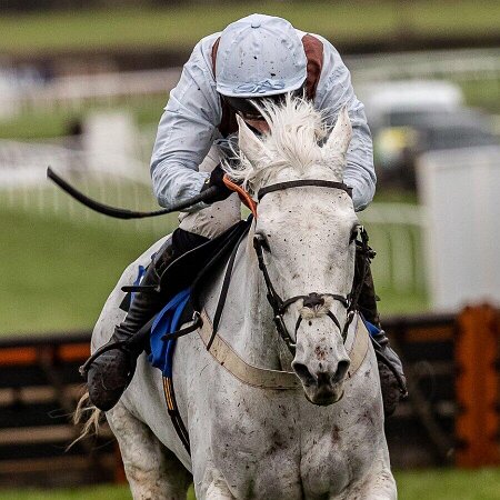 Kelso Races 2021 Kelso Races 2021