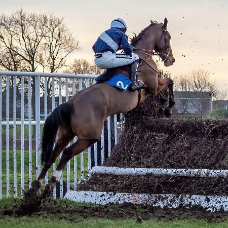 Kelso Races 2023 Kelso Races 2023