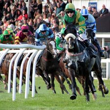 2012 - 2013 Perth Racecourse is a thoroughbred horse racing venue adjacent to the ancient Scone Palace, near Perth, Scotland. Perth...