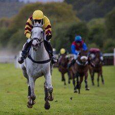 2014 Perth Racecourse is a thoroughbred horse racing venue adjacent to the ancient Scone Palace, near Perth, Scotland. Perth...