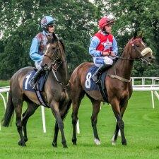 2023-08-19 Photographs taken with a Canon G9 compact camera which is 16 years old.