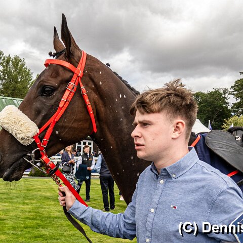 Perth-Racecourse-101