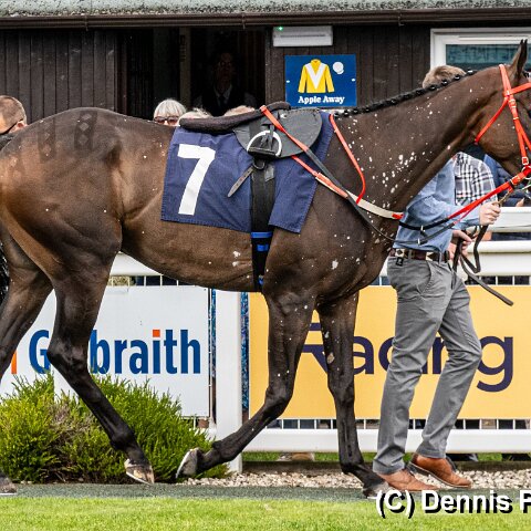 Perth-Racecourse-103