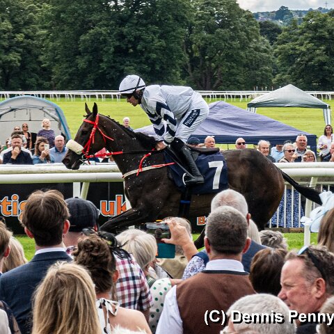 Perth-Racecourse-105