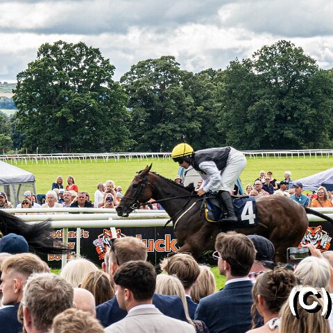 Perth-Racecourse-106