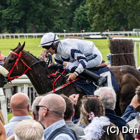 Perth-Racecourse-109