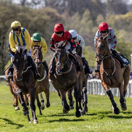Perth Races 2024 Perth Races 2024