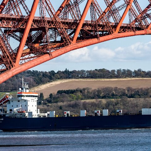 Helliar-2021-04-15-6