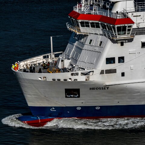 Hrossey-2021-03-18-16