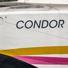 Condor
