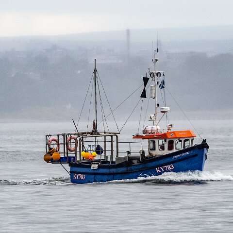 Fishing-Boat-Amphitrite-II-1