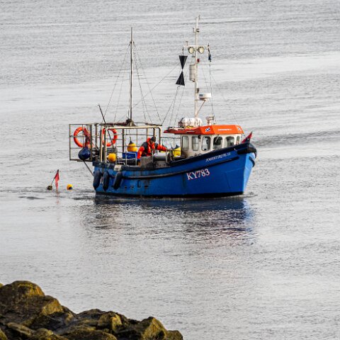 Fishing-Boat-Amphitrite-II-11