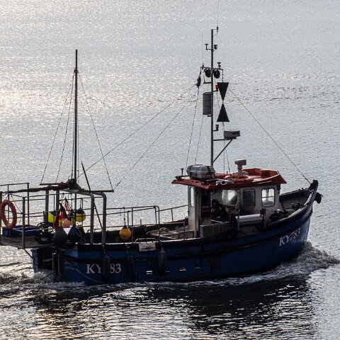 Fishing-Boat-Amphitrite-II-12