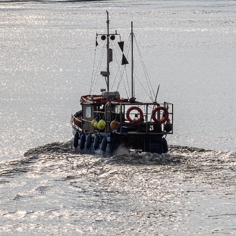 Fishing-Boat-Amphitrite-II-13