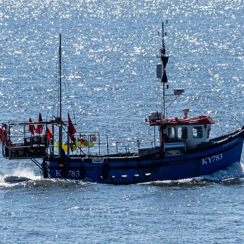 Fishing-Boat-Amphitrite-II-14