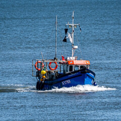 Fishing-Boat-Amphitrite-II-15