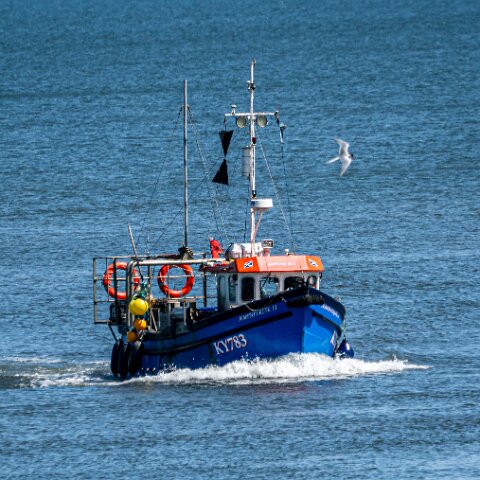 Fishing-Boat-Amphitrite-II-16