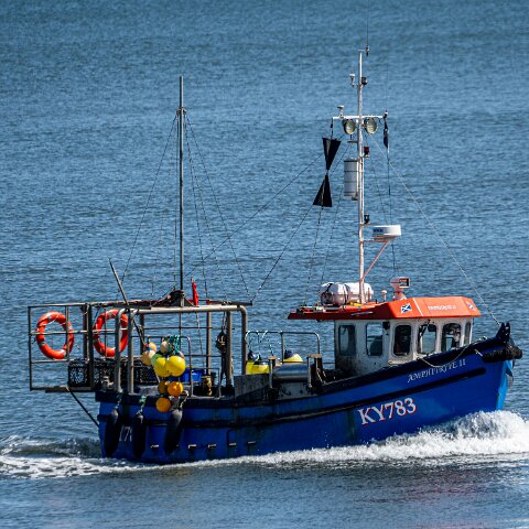 Fishing-Boat-Amphitrite-II-18