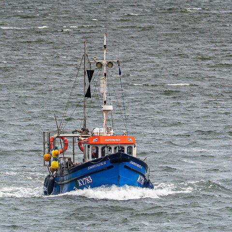 Fishing-Boat-Amphitrite-II-21