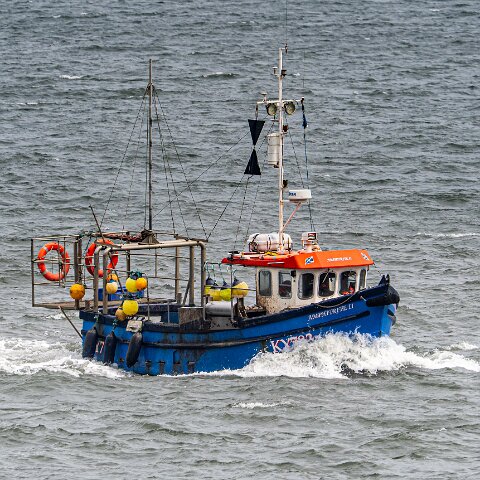 Fishing-Boat-Amphitrite-II-22