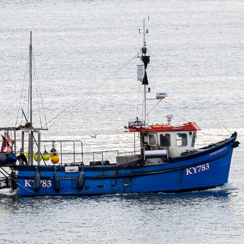 Fishing-Boat-Amphitrite-II-6