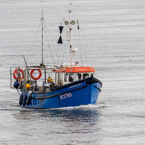 Fishing-Boat-Amphitrite-II-8