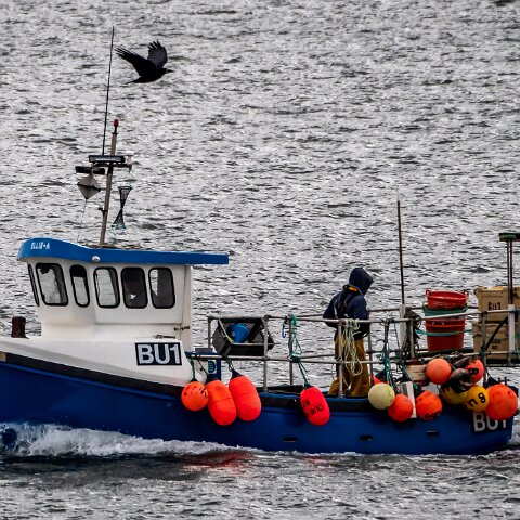 Fishing-Boat-Ellie-A-2