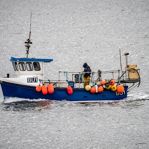 Fishing-Boat-Ellie-A-4