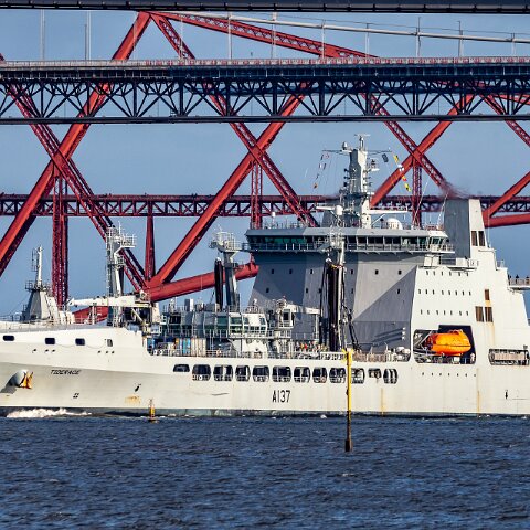 RFA-Tiderace-16