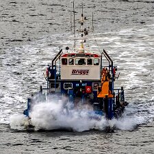 Utility and Survey Utility and Survey